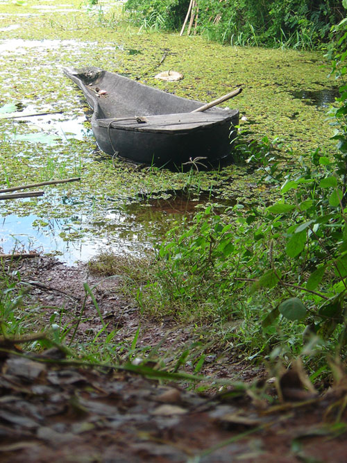 เที่ยงแล้วพักทานข้าวกัน  เจอเรือลำนี้ถูกใจวัยรุ่นกันใหญ่   น้าเบียร์บอกเดี๋ยวจะหามอเตอร์ไกด์มาติด แล