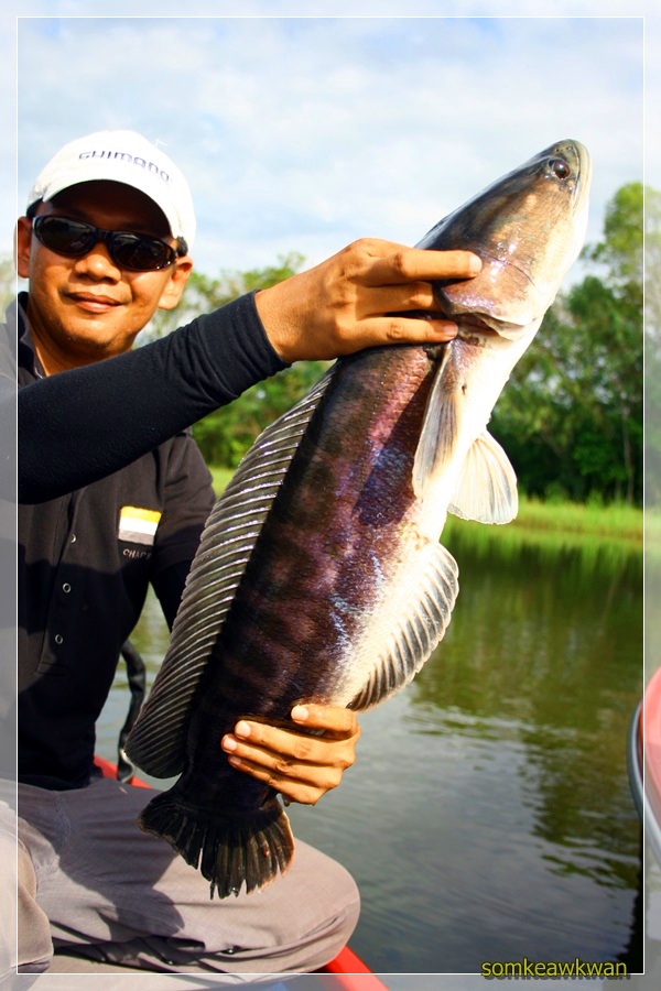 พี่บอยไม่รอช้ารีบขอยืมมาถ่ายสุดริด
 :laughing: :laughing: