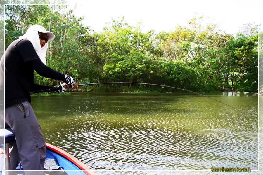 มาดูปลาพี่บอยมั่งดีกว่า
----------------------------

 [q]ภาพสวย-เพลงเพราะ (เรืองามมากครับ)++++ [