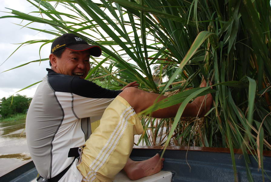 พอมาถึงหมายน้าต๋อยส่งเรือแรงไปหน่�