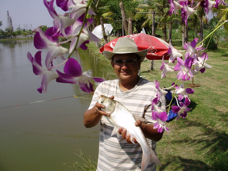รูปนี้ กะทำดอกไม้ให้เป็น เฟรม..

หลังจากปล่อยปลา ให้น้าเต่าดูรูป บอกทำมัยมีร่มอยู่บนหัว.. จริงแฮะ 