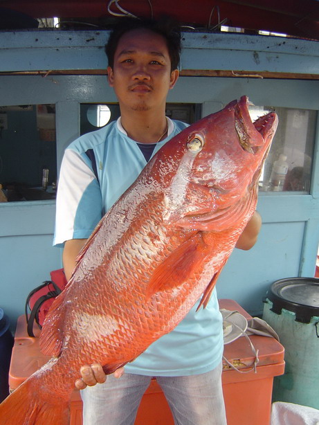 เจ้าภาพขอชักรูป ไม่จัดให้ได้งัย
