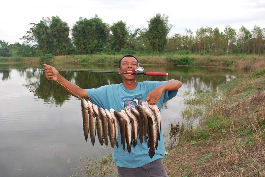 รูปทั้งหมด(เฉพาะปลาช่อน)เป็นฝีมือน้องวาครับ


