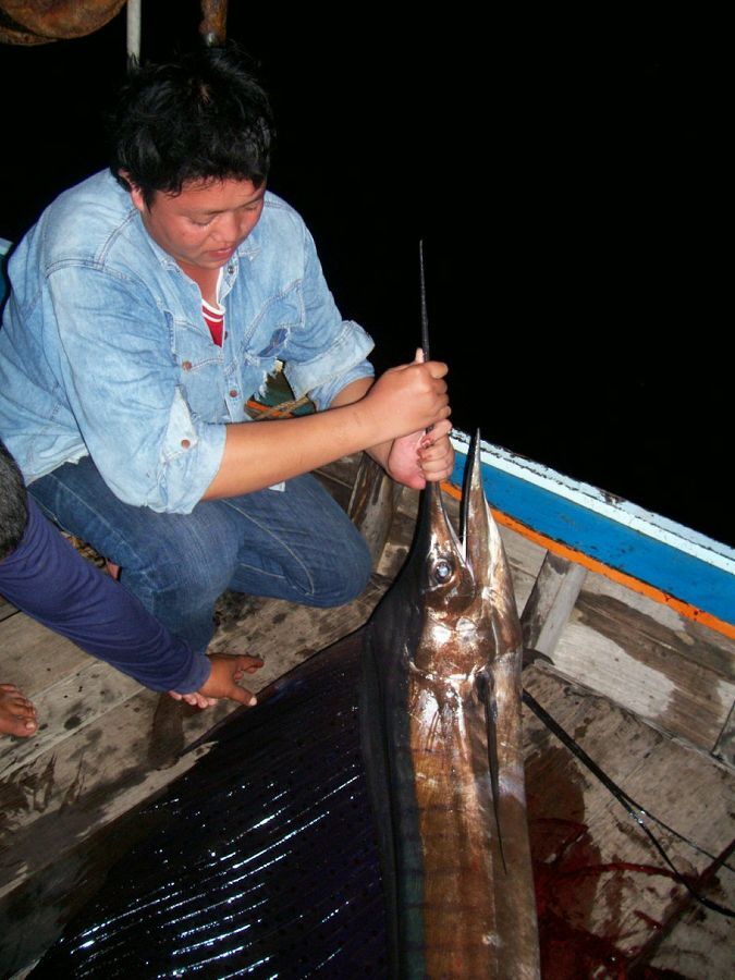 ผมไปเช็คสภาพ ตรวจสอบบาดแผล

ตัดสินใจเอาขึ้นครับ 4 ปี กับ 1ตัว คงไมว่ากันนะครับ
ผมได้เอาไปสตัฟฟ์เร