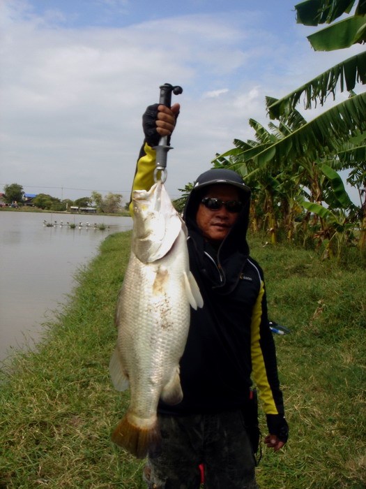 ขอบคุณน้า ๆ นะคะ
น้านิลน้อย ,น้าPower , น้า Hack 11 , น้า ak_along ,
น้าแอบแซ่บ ,น้าfishandfishing