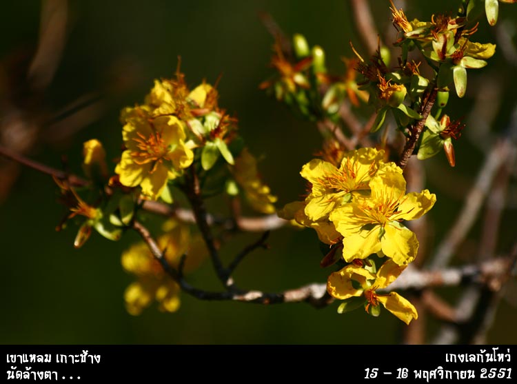 โอเคพี่ม๋วยเดินทางปลอดภัยไร้กังวล รอชมเรื่องราวท่องเที่ยวขึ้นเหนือนะพี่

-------------------------