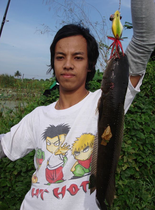 ตัวที่2ตามขึ้นมาครับ :grin:
