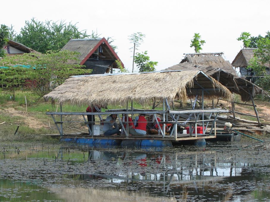 โทรศัพท์ตามให้กลับมากินข้าว ไอ้เรา