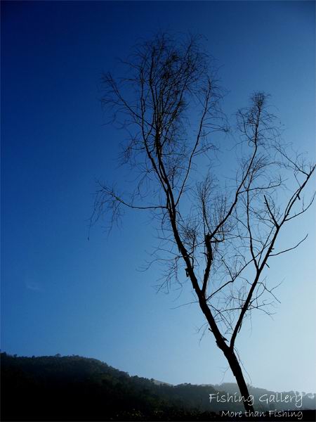 ปลาย....ฝน.....ต้น....หนาว...ที่สังขะ