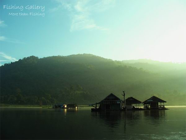 เเสบตาเบ่าจ้า...ดูสีเขียวๆมั่ง.....
