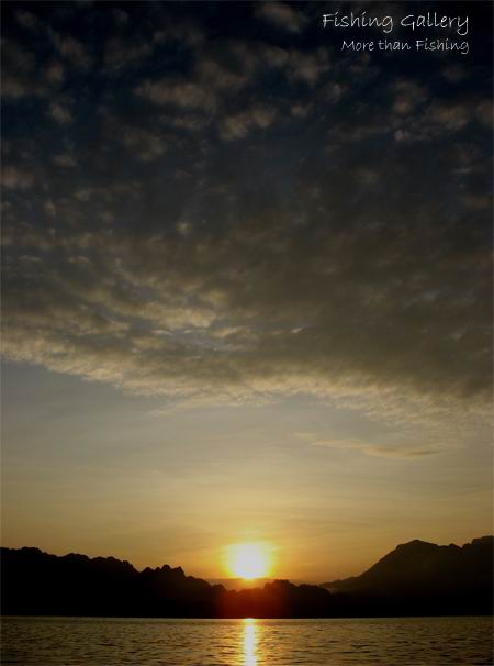 เวลา..............