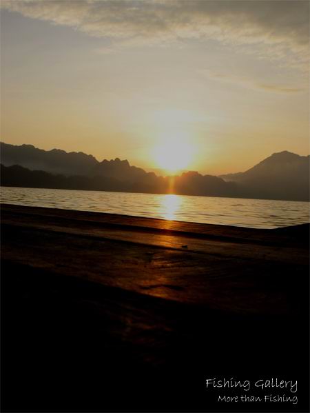 เฝ้า..................