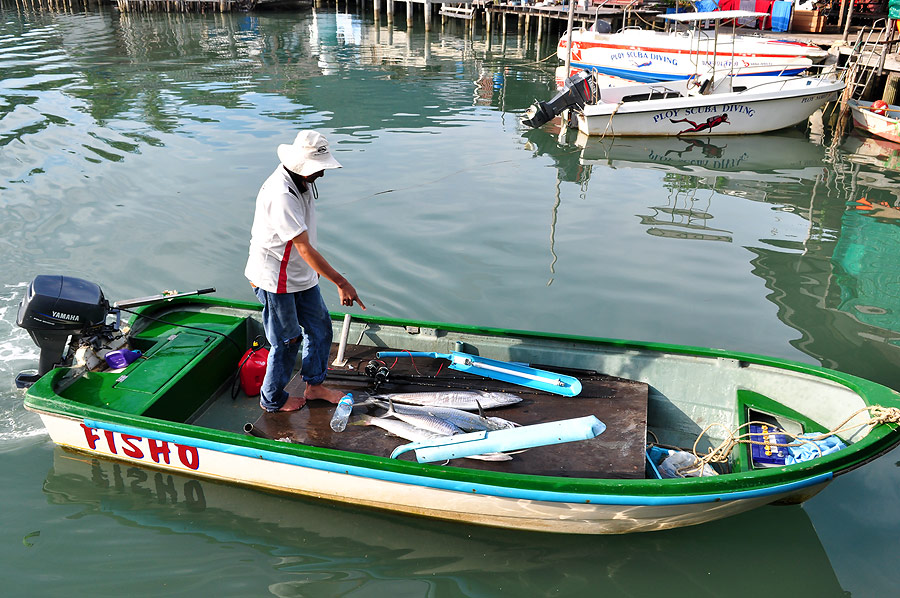น้าเก  บอกว่า  นี่พื้นๆนะ  

ออกเรือไป ปากอ่าว นี่เอง

ไม่กี่ชั่วโมง กลับมา   ...

โอ้ว...โห  