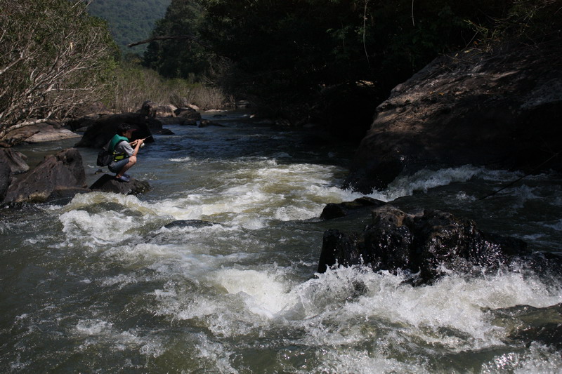 Adventure fishing ในธารน้ำตกลำแชะ