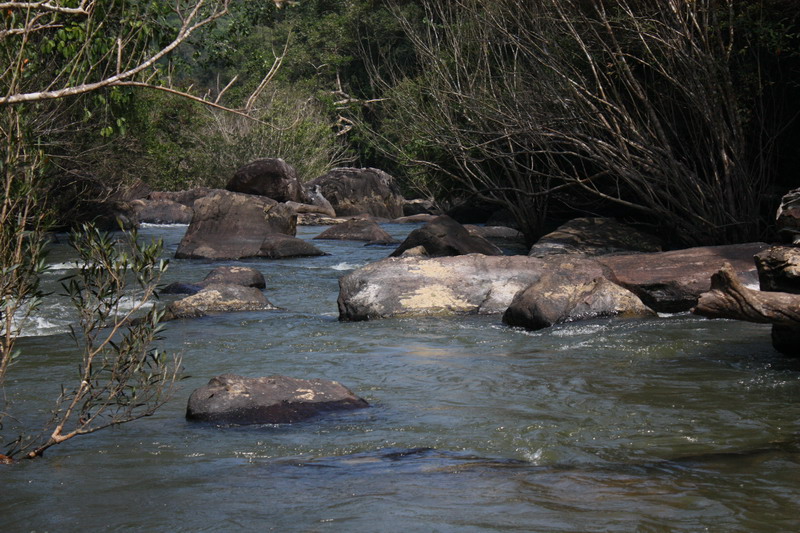 สระว่ายน้ำของ Rapala Shallow runner ผมเอา เมกแบะมา แบะจริง