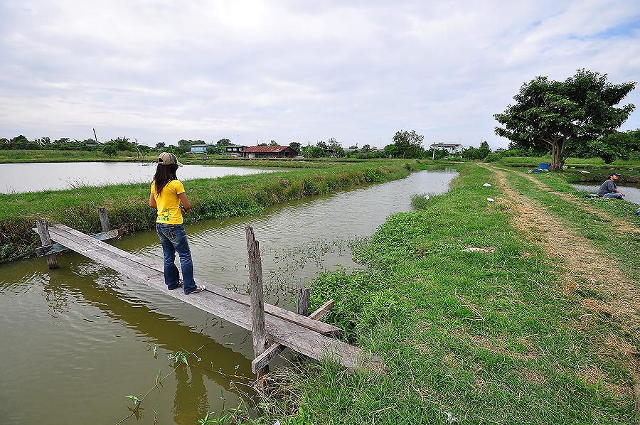 ส่วน แม่โปร บางกอก.................ทำเจ๋ง ตีปลาช่อน โชวว์ ...........เห็นบอก เมื่อก่อน อยู่บ้าน นอก 