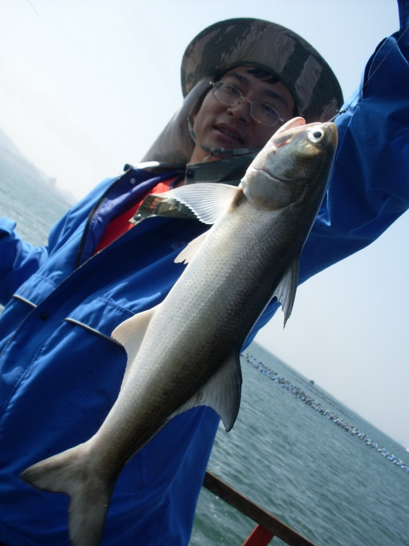 น้าๆคิดเหมือนผมไหมว่า  


ฟ้าไม่มีตา


จนป่านนี้  ยังไม่ได้เป็นชิ้นเป็นตัวของตัวเองเลย  

น้