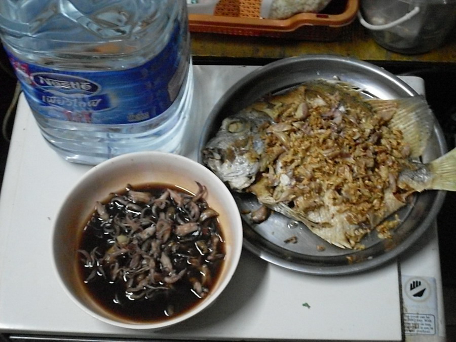 จบด้วย  ใบปอทอดกระเทียม  กะ  หมึกหวานละกันครับ

--------------------------------------------------