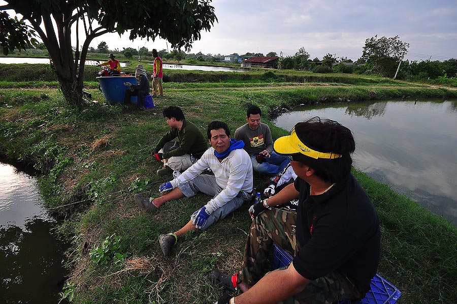 สุดท้าย...................โปรอย่างผม ก็ต้องยอม รับสอน จิ้งจอกทั้งทีม ตามรูป กำลัง อธิบาย การใช้เหยื่