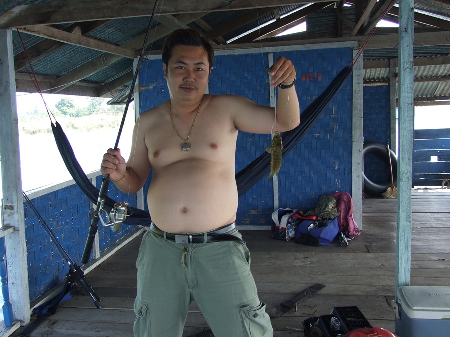 กับถึงแพ หยิบเบ็ดหน้าดินมาเกี่ยวแมลงสาบขาว ที่ซื้อมาจากร้านน้าป้อที่พระประแดง หย่อนลงไปแป๊ปเดียวก็ได