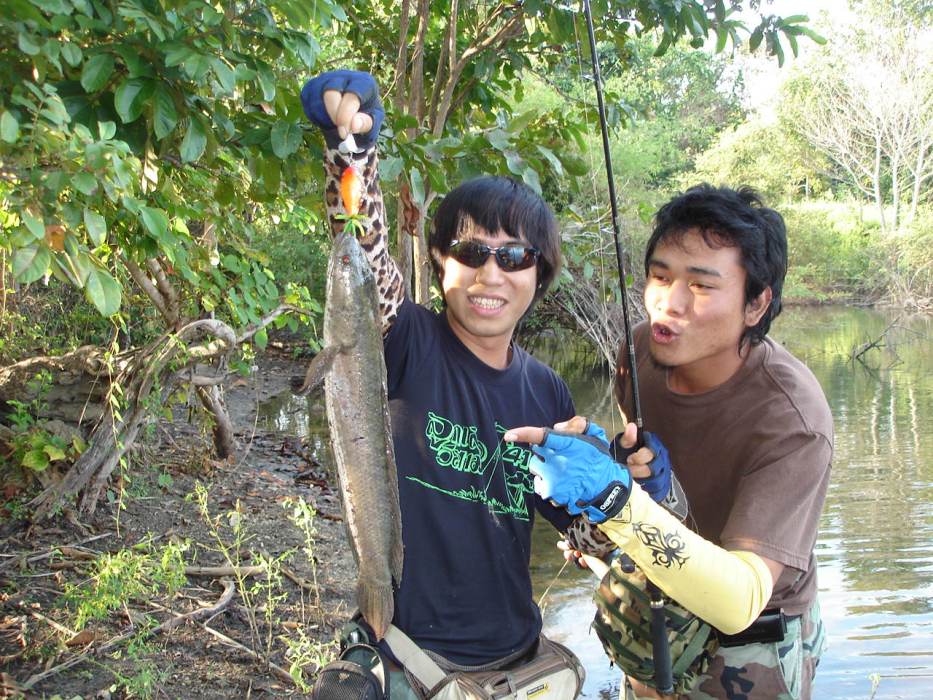 ฮ่าๆๆๆๆ....แล้วก็โดนจนได้

สถานะการก�