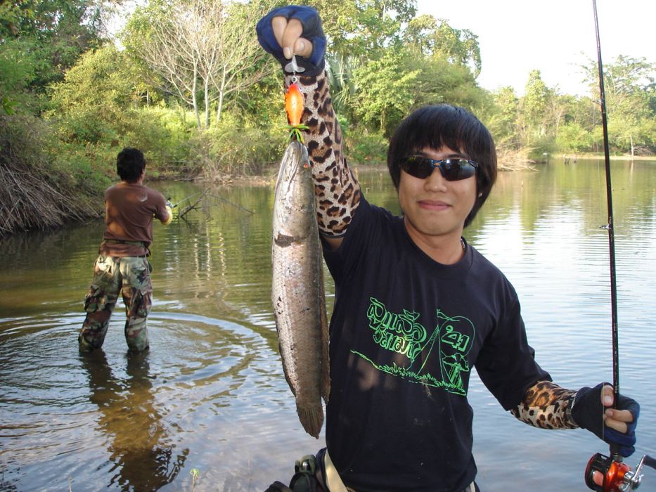 [q]+1 ตาร้อนหมดแล้ว[/q]
หวัดดีครับน้า arun-mp �