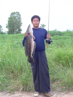 ที่หนองปลาไหลเหมือนกันครับ
