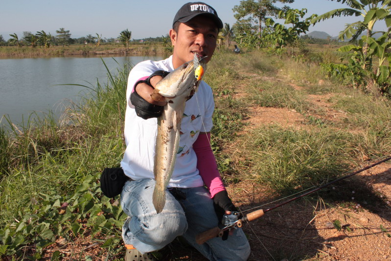 [q]
สวัสดีครับน้ามงแจ่ม ๆ อีกแล้วน่าอิจฉาจัง +++  
[/q]
สวัสดีครับ น้า ต่าย_actionlure ขอบคุณมากค