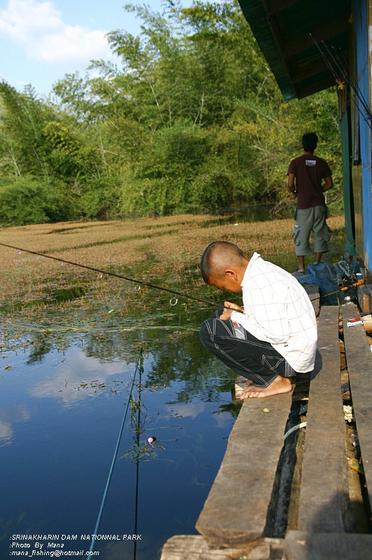 เจ้าโอ..เป็นทั้งไต๋เป็นทั้งคนปลดปลา
เห็นแบบนี้ขับเรือเก่งสุดๆ :grin: