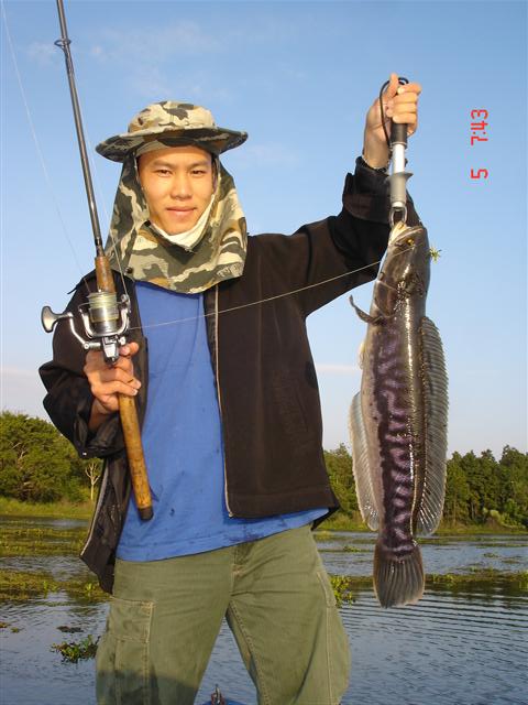 ปลาน้าแดนครับ... :grin: :grin:

งานนี้ไม่มียืม :grin: :grin: :grin: