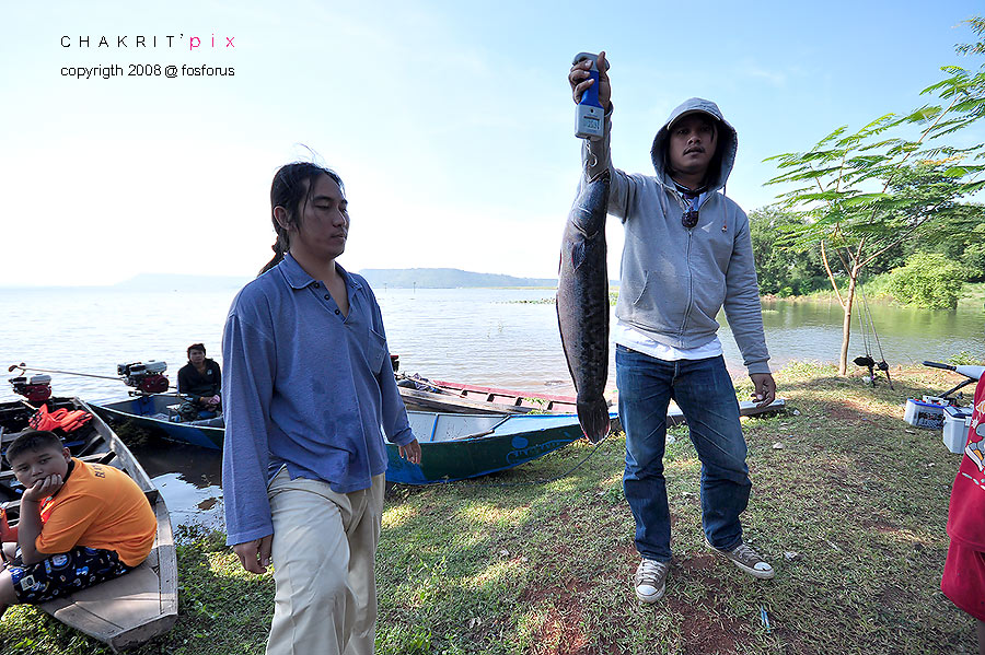 ยาวเลยครับ..................ปลาน่าจังเลย  อยากโดนแบบนี้มั่งไม่เคยไปซะที บึงบรเพ็ด

(พอดีมีรูปน้าด้