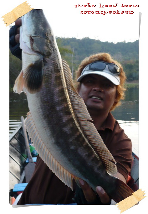 ถ้าได้ตัวนี้วันแข่งนะ ฮื่ม !!!!
