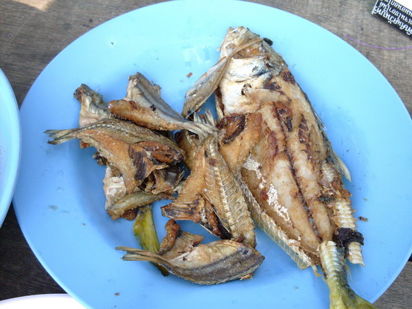 มโหรีแดดเดียว  อันนี้ขอบอก  ได้มาอย่าทิ้งครับ  จับผ่าทาเกลือตากสักพัก  ทอดกรอบๆ  ขอแนะนำเมนูนี้เลยคร