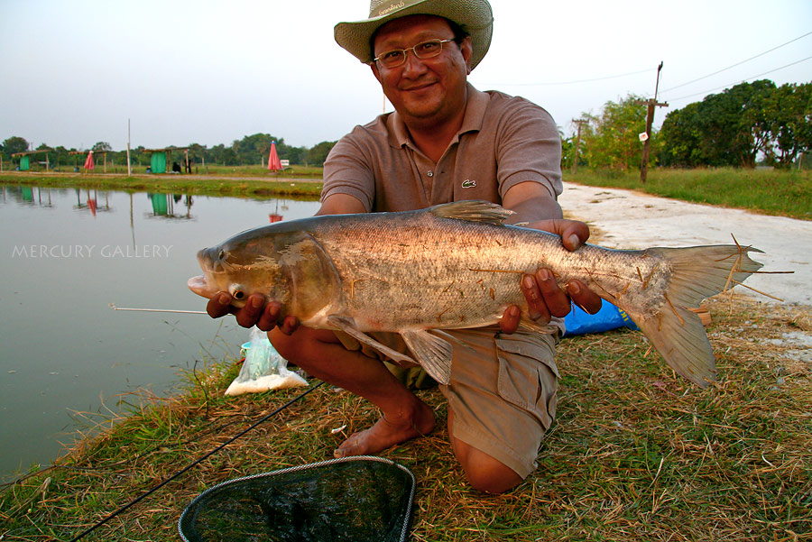 ขอเอามาโชว์ตัวหน่อย เล่นซะปวดมือเลย  :grin: