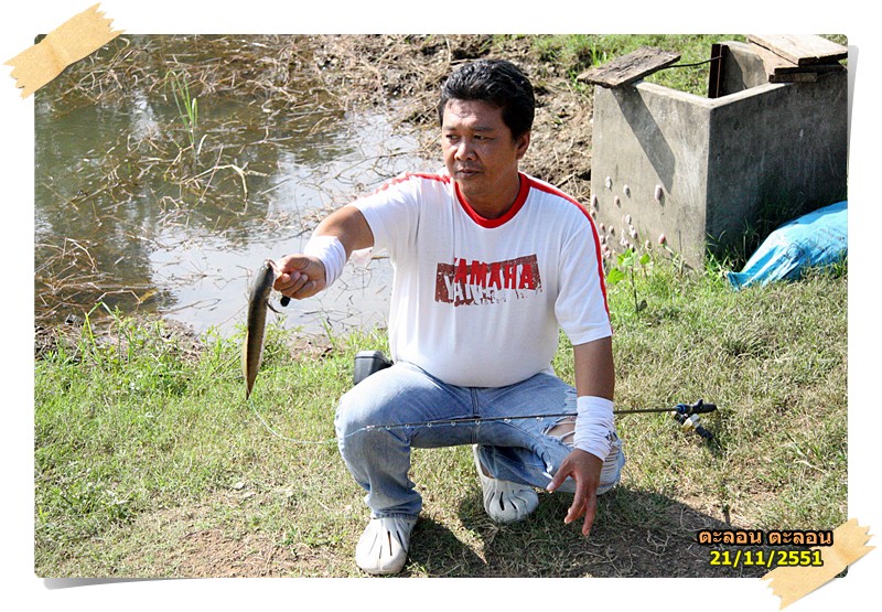 หว้า !!! ลูกมันหรอน้าติ  :cheer: :cheer:
