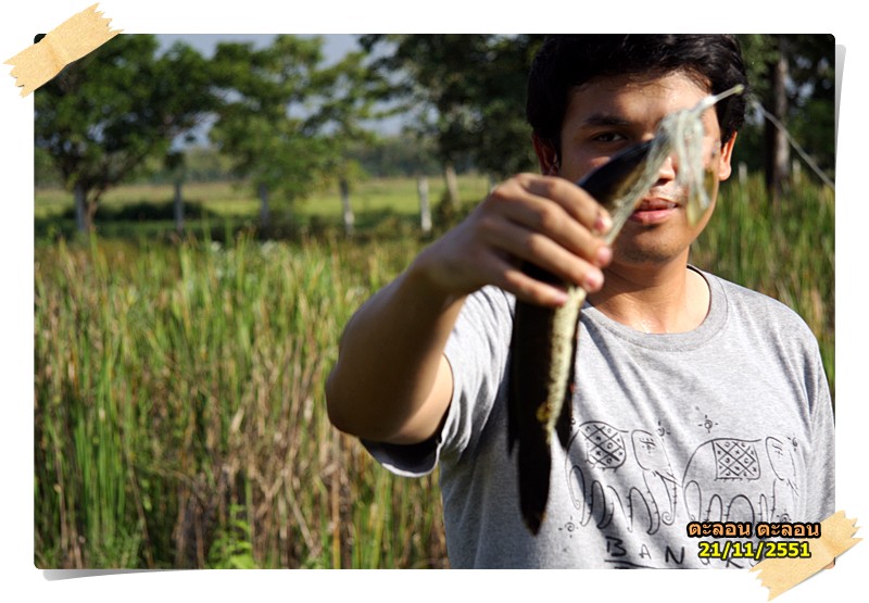 น้าบอลได้ตัวอีกแล้ว  :cheer: :cheer: :cheer: