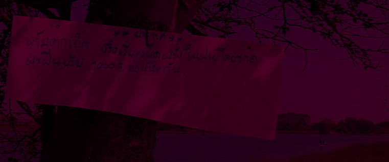 ป้ายเขาเขียนว่าไรงะ อ่านไม่ชัด       :laughing: :laughing:

 พวกเราก็เลย............ซะหนึ่งกระชัง 