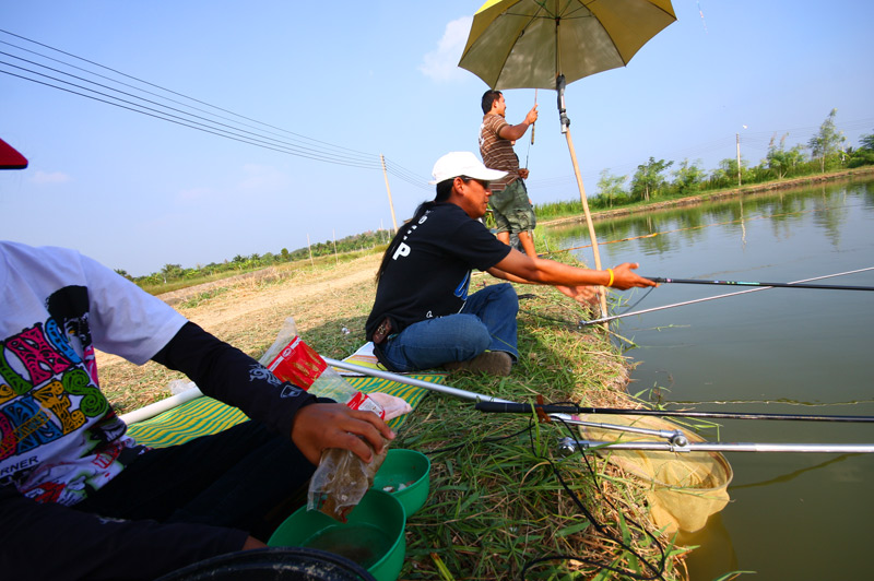 สูตรพิเศษ ผสม แหลก