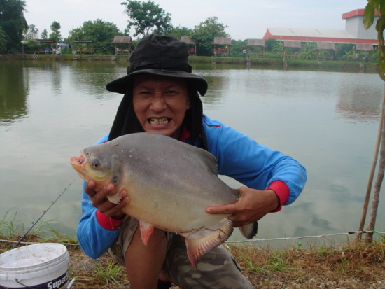 ยะฮิ้ว...แบบไม่ปิดหน้ามั่ง...หุ หุ หุ

 :grin: