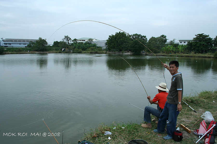 น้ากระทิไม่ได้โม้...อีกแป๊ปนึงวัดติดมายืนข้างๆๆจริงๆๆๆ