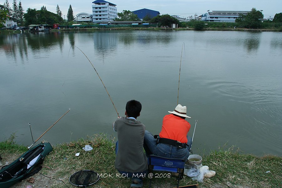 แต่ปลาก็ไม่เอาด้วย.....แข่งกันหนีเหมือนกัน...อีกต่างหาก...