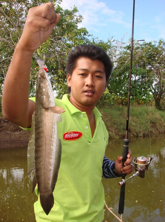  :grin: :grin:


สวัสดีครับน้าเล็กท่ายาง สบายดีนะครับ :grin: :grin:
