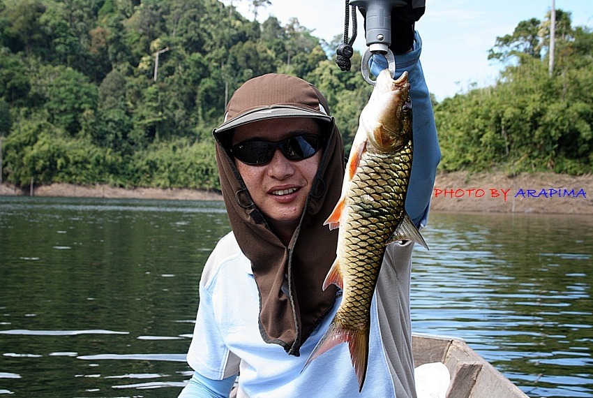  :grin: :grin:  อะเอาปายอีกซักรูป.....โผ้มม่ายแห้วนะค้าบ.....ครายรอยำอยู่....เสียใจด้วยนะค้าบ เอิ๊กๆ