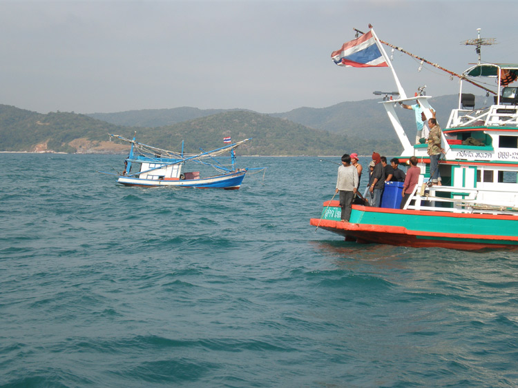 :cheer: มีเรือลำเล็กเข้ามาแจมอีกลำแล้วครับ
 :cheer: เรือลำข้างๆกำลังอัดปลาอยู่ยังอัดไม่ขึ้นครับ