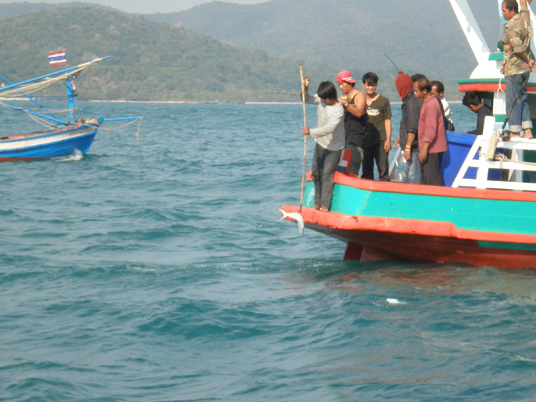  :cheer: เกี่ยวขึ้นเรือเป็นเจ้าสละครับ