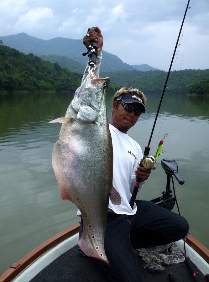  :love: กลับเข้ามาต่อครับ

 :love: น้าP กับปลากรายน้ำหนัก 6.7kg