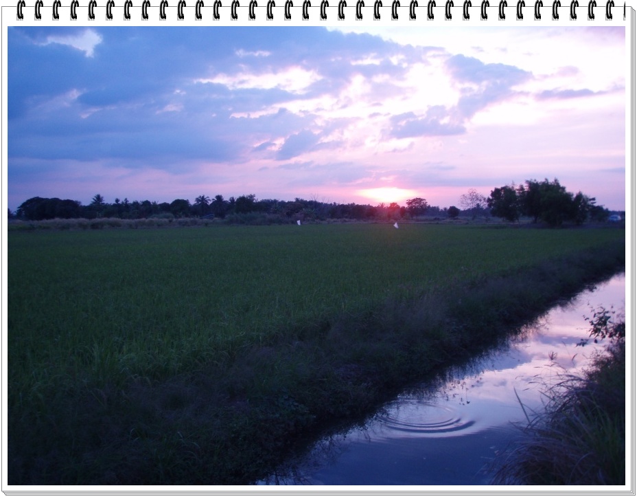 :grin:ลากันด้วยภาพนี้เลยนะครับ สุดท้ายนี้ขอให้น้าๆทุกๆท่านออกตกปลาอย่างมีความสุขนะครับ :grin:
 :bl
