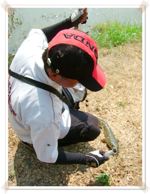 สุดยอดครับ  :cheer: :cheer: :cheer: