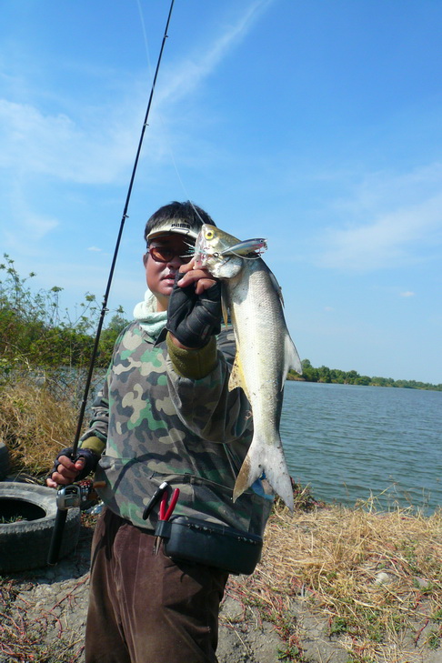 หวัดดีครับ น้าthana_ampawafishing :smile:

 [q]++++กุเรากินป๊อบสุดยอดความมันเลยครับ      [/q]
หวั