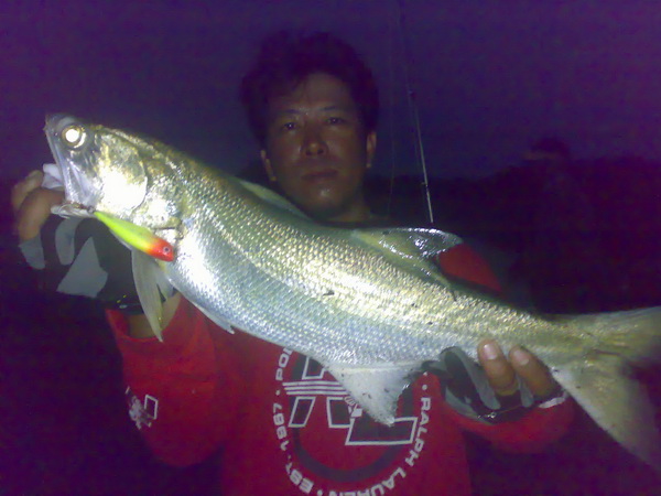 ตัวนี้เกือบ 2โลครับ... :umh: :umh: